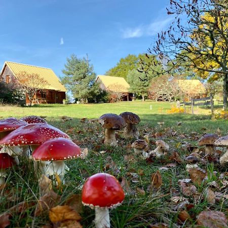 Chalets De L Empereur Ussel  Exteriör bild