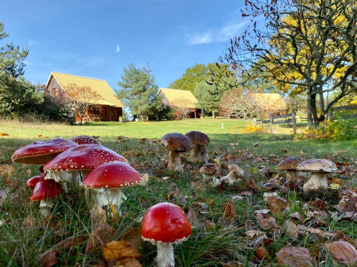 Chalets De L Empereur Ussel  Exteriör bild